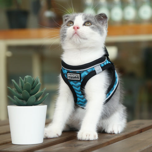 Dog Harnesses with Handle for Outdoor Training