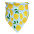 Washable Fruit Summer Pet Bandanas