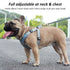 Breathable Soft Air Mesh Harnesses for Puppy