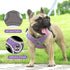 Breathable Soft Air Mesh Harnesses for Puppy