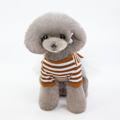 Puppy Clothes Lace Striped Dress