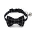 Adjustable Bowtie Kitten British Collar