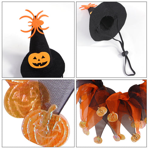 Funny Cat Halloween Cool Pumpkin Collar and Hat
