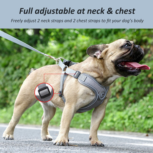 Breathable Soft Air Mesh Harnesses for Puppy