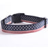 American Flag Dog Collar with Bell