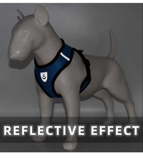 Reflective Soft Padded Vest with Dog Leash