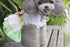 Flower Gauze Dog Dress Bowknot Princess Clothes