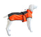 Dog Jacket Windproof Winter Coat