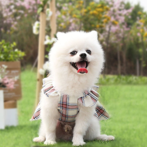 Cute Pet Summer Bow Wedding Dress