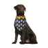 Dog Bandana with Pumpkin Bat Ghost Pattern