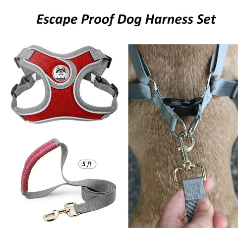 Breathable Soft Air Mesh Harnesses for Puppy