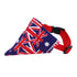 Dog Collar American Flag Bandana