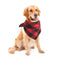 Plaid Dog Classic Bandana Scarf