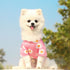 Dog Summer Cute Floral Shirts Clothes