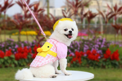 Dog Summer Duck Plaid Shirts Clothes with Hat