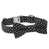 Dot Dog and Cat Collar with Bowtie