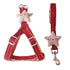 Puppy Starfish Harness and Dog Leash