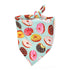 Washable Fruit Summer Pet Bandanas