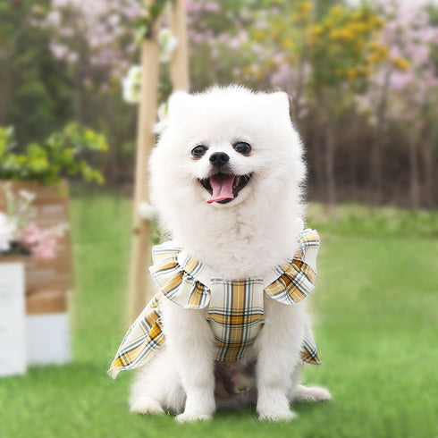 Cute Pet Summer Bow Wedding Dress