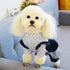 Cute Dot Jean Pet Dress for Dog