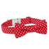 Dot Dog and Cat Collar with Bowtie