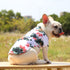 Hawaiian Dog Shirts Apparel Suit for Holiday