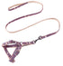 Easy Walk Dog Harness Dog Leash