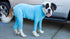 Dog Jumpsuit Zip Up Dog Plain Blank Clothes