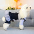 Cute Dot Jean Pet Dress for Dog