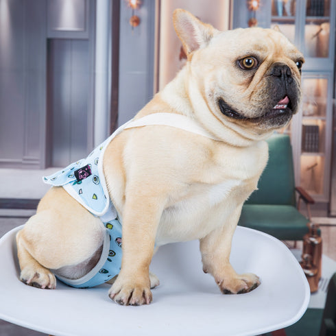Washable Dog Diaper Jumpsuit with Adjustable Suspender