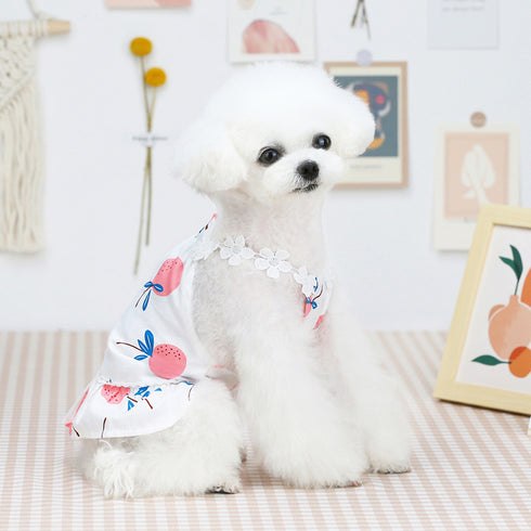 Dog Fruit Dog Summer Bayberry Dress