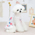 Dog Fruit Dog Summer Bayberry Dress