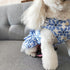 Sweet Pet Clothes with Bowtie Summer Dress