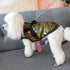 Winter Dog Coat Outdoor Jacket