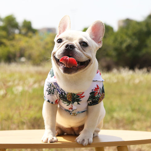Hawaiian Dog Shirts Apparel Suit for Holiday