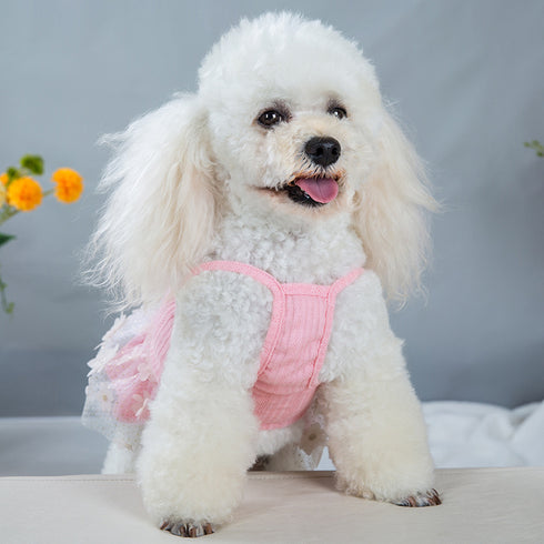 Cute Lace Flower Princess Dog Dress