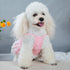 Cute Lace Flower Princess Dog Dress