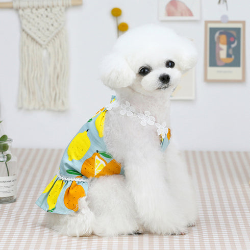 Dog Dress Puppy Fruit Braces Skirt