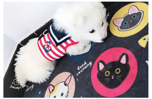 HOOK & LOOP Navy Dog Harnesses and Leash