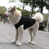 Dogs Pullover 100% Cotton Soft Puppy Cute Blank Clothes