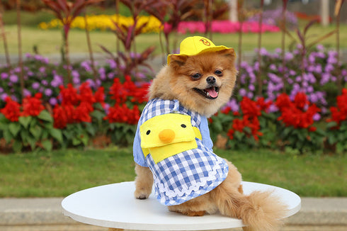 Dog Summer Duck Plaid Shirts Clothes with Hat