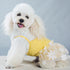 Cute Lace Flower Princess Dog Dress
