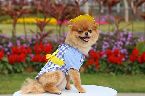 Dog Summer Duck Plaid Shirts Clothes with Hat