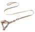 Easy Walk Dog Harness Dog Leash