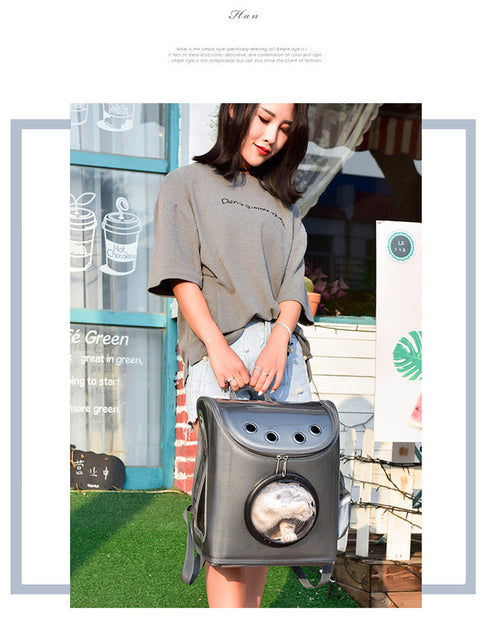 Carrier Backpack Suitable for Outdoor Activities