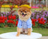 Dog Summer Duck Plaid Shirts Clothes with Hat
