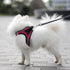 Dog Reflective Harnesses and Dog Leash