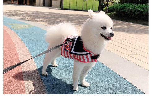 HOOK & LOOP Navy Dog Harnesses and Leash