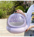 Transparent Bubble Carrier for Kittens