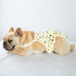 Washable Dog Diaper Jumpsuit with Adjustable Suspender